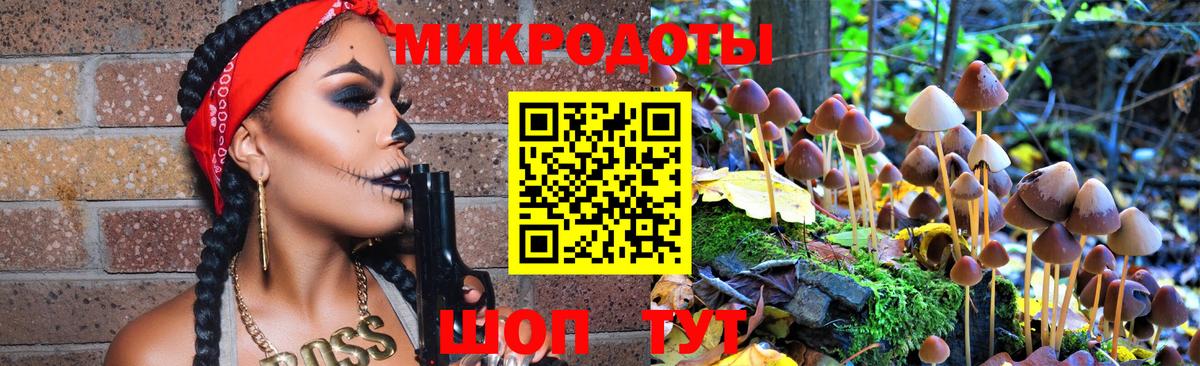 Псилоцибиновые грибы прущие грибы Нижнеудинск