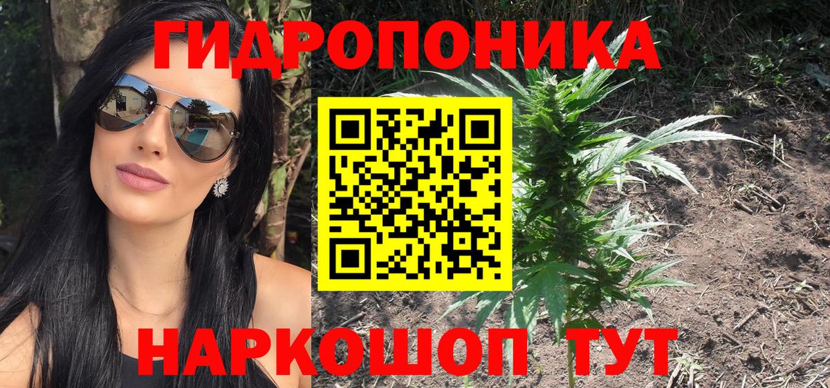 Бошки Шишки марихуана Нижнеудинск